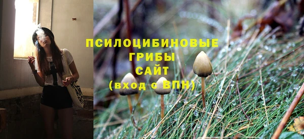 прущие грибы Волосово
