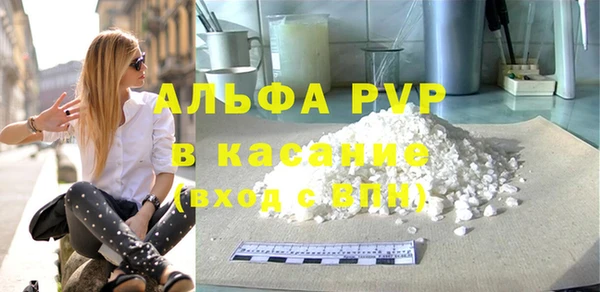 прущие грибы Волосово
