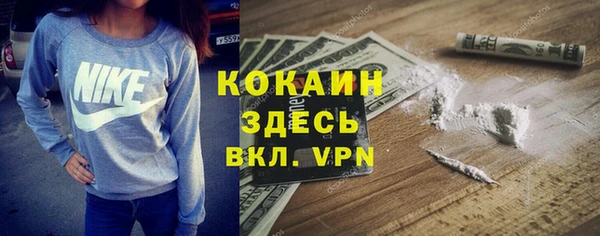 прущие грибы Волосово
