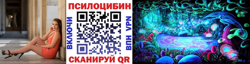 Псилоцибиновые грибы Psilocybine cubensis  Череповец 